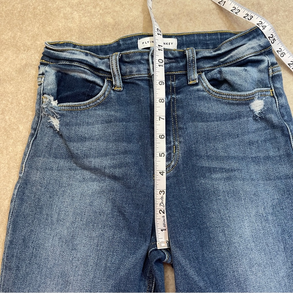 Flying Monkey - Picture 12 of 13